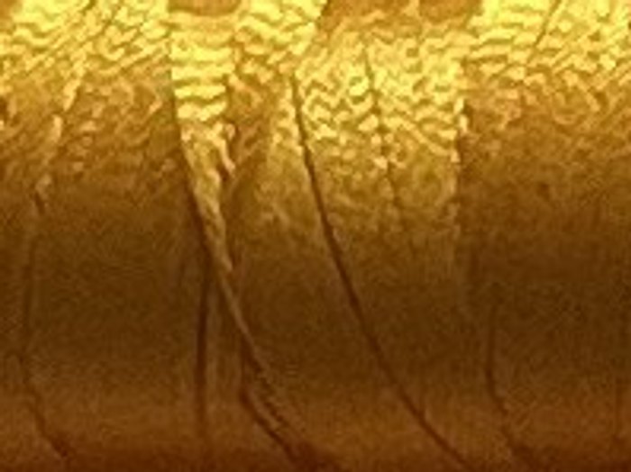 0704 · Oro viejo