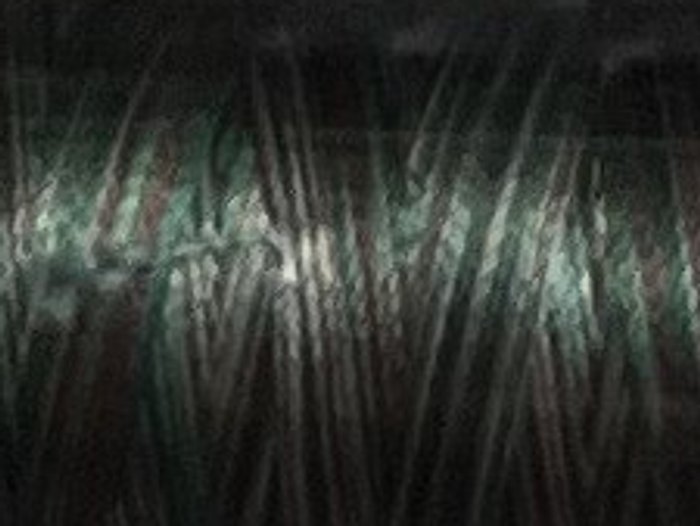 9982 · Verde bosque y gris