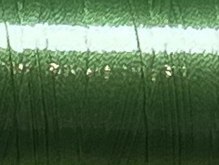 5531 · Verde hierba