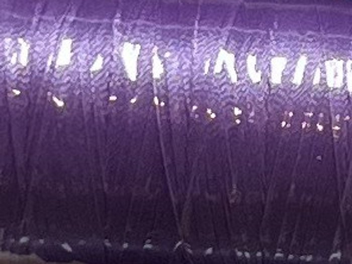 2830 · Violeta
