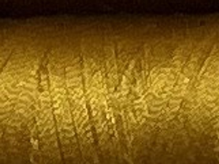 0118 · Amarillo oro