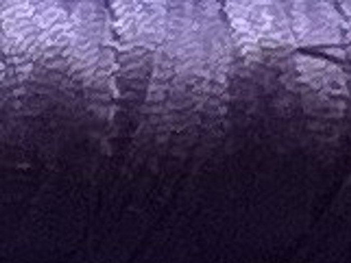 0570 · Violeta