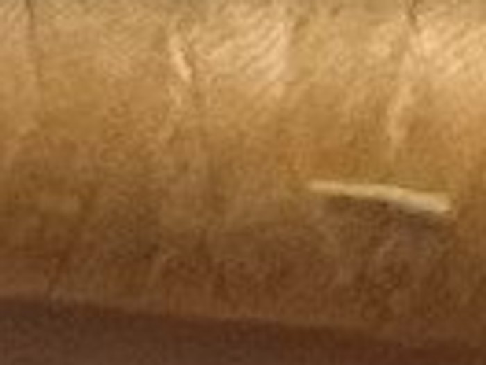 1507 · Melocotón dorado