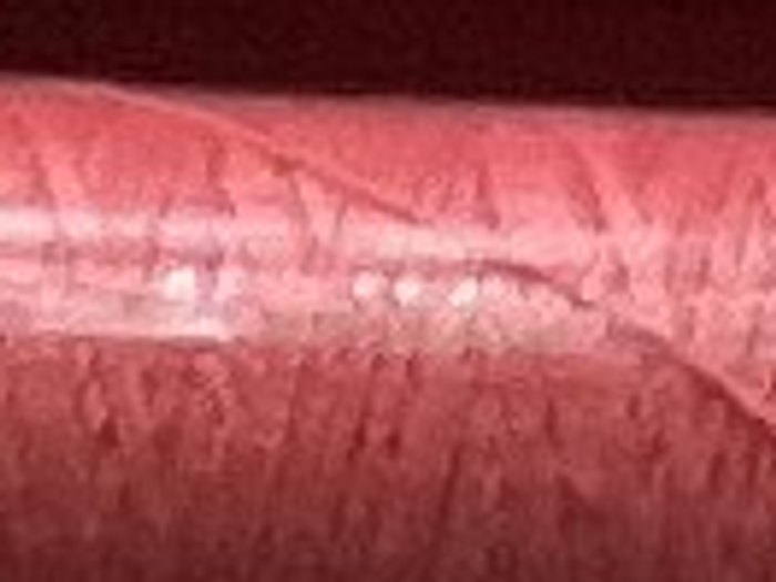 0103 · Rosa coral