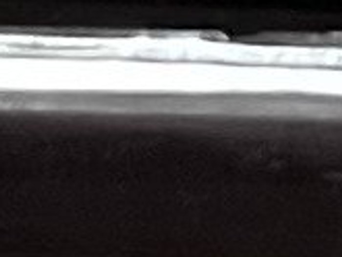 0793 · Ciruela negra