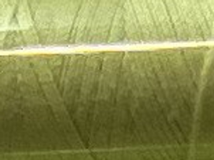 1343 · Verde pistacho