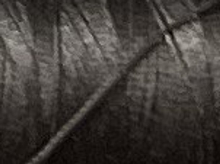 0398 · Gris marengo pardo