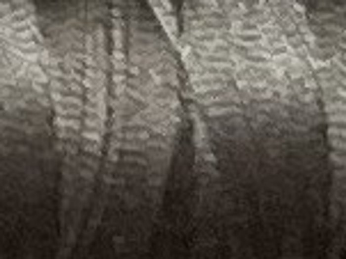 1228 · Gris topo