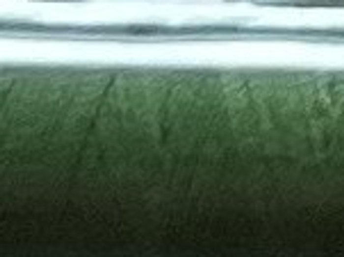 0251 · Verde trébol