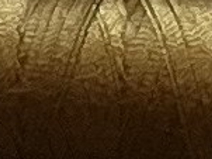 1311 · Bronce oliva