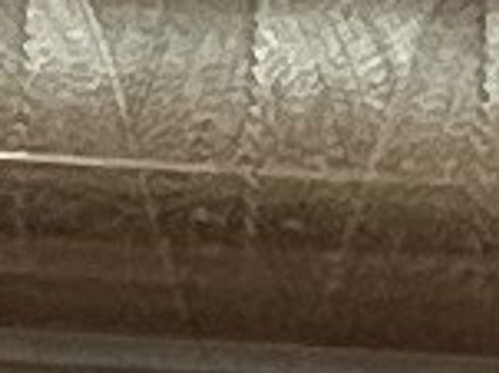 0464 · Caqui gris