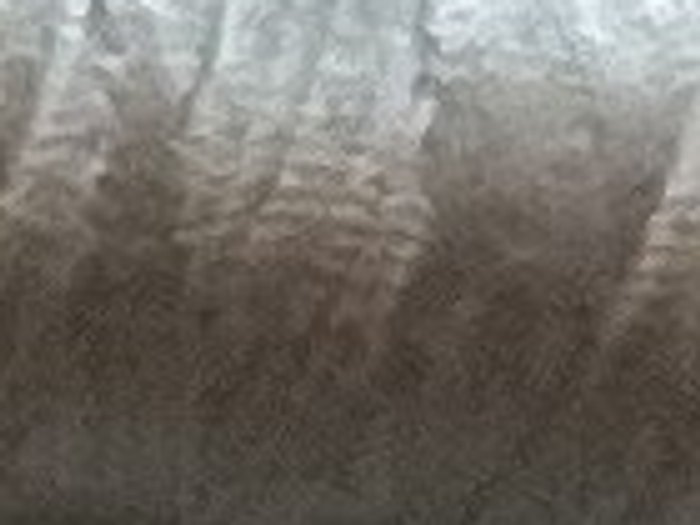 0850 · Gris verdoso medio