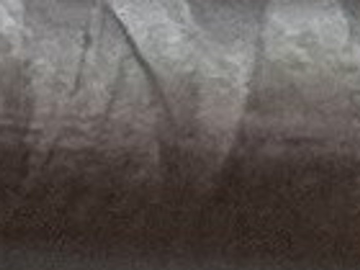 0322 · Gris ratón
