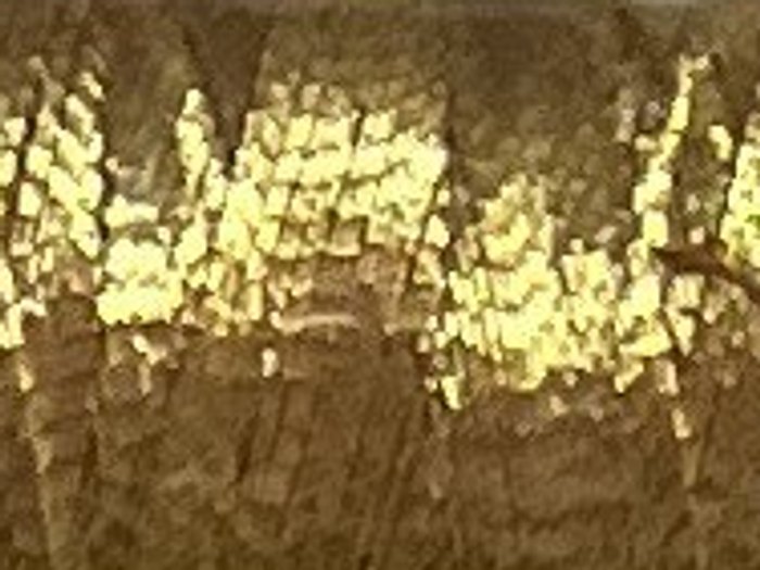 2108 · Oro viejo